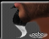 oqbo roger beard
