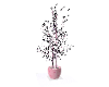 pink light plant