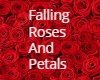 Falling roses & petals