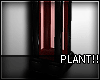 A- Decor Plant