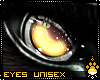 !F:Zolis: Unisex Eyes