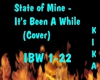 It's Been A While Cover