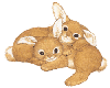 Snuggle Bunnys