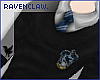 `HP| Ravenclaw Top.