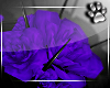 Rose Crown -Violet