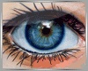 ~CR~Real Blue Eyes