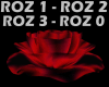 Xe  Roses Red Light