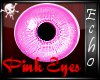 [Echo]Pink Eyes
