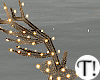T! Deers/Lights No Anim