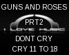 GUNS & ROSES DONT CRY