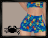 SB Summer Shorts
