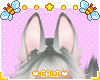 C l Kitsu Ears - Solace