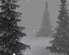 [K] Nordic winter snow