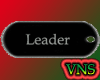 [VNS] Leader Tags