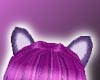 Cat Ears in Purple