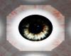 (MR)Eyes Gray Male