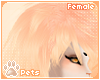 [Pets]Kinx |hair poof v1