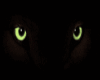 Animated Cat eyes