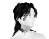 Koji Void
