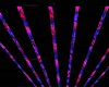 neon lights lamps