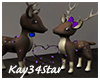 Christmas Deer & Lights