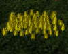 longue herbes jaune