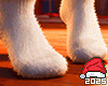 Christmas Socks 2025