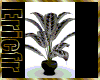 [Efr] Winter Plant 2