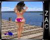 ZH Bikini