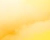 Sunshine Fox Tail
