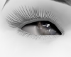 Mz gray eyes