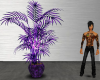 (H)Purple plant