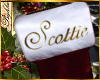 I~Stocking*Scottie
