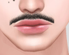 FF.  Mustache