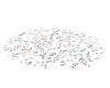 DZ Money Floor