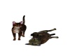 {LS}Cats playing