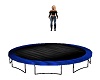 blue blk trampoline 2