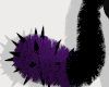 Felis Tail 3