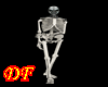 DF| Cabeça do Esqueleto