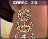 S|Rani Earring`s
