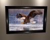 Eagle Fishing