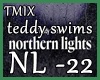 Northern Lights-Teddy S