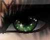 M . Emerald . Eyes