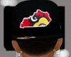 louisville fitted v1