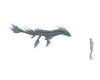 Dragon Water Creature