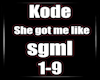 sgml 1-9