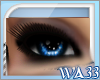 WA33 Blue Wish Eyes