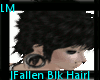 |Fallen Black Hair|