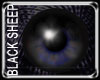 SteelBlu eyes BlackSheep
