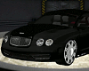 Bentley Platinum GT 
